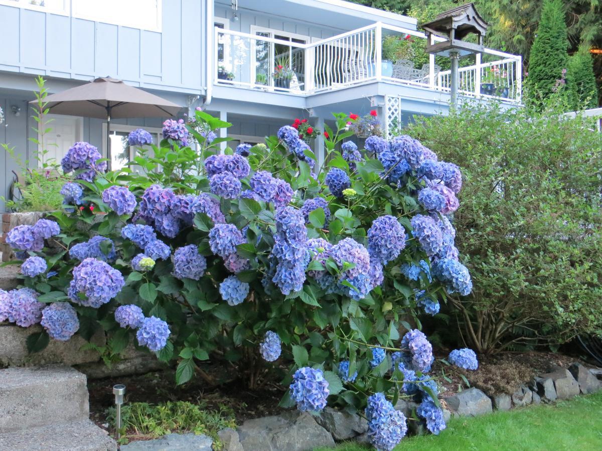 Roberts Creek Caprice B&B 외부 사진